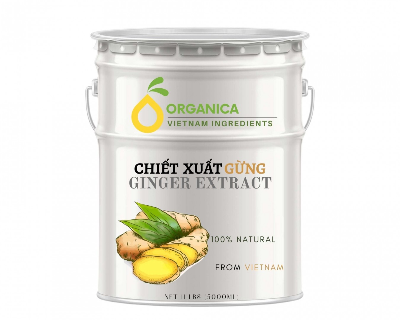 Chiết xuất gừng (Ginger extract)