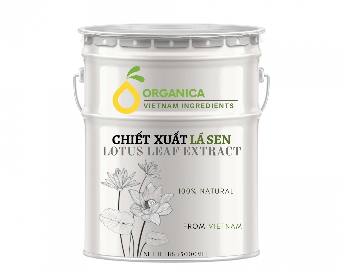 Chiết xuất lá sen (Lotus leaf extract)