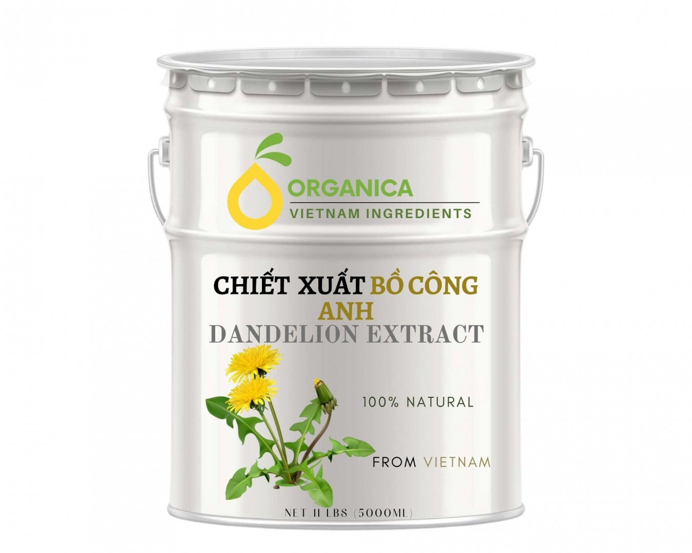 Chiết xuất bồ công anh (Dandelion extract)