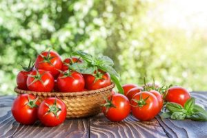 Chiết xuất cà chua ( Tomato extract)