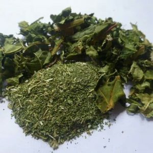 Bột lá đu đủ (Papaya Leaf Powder)