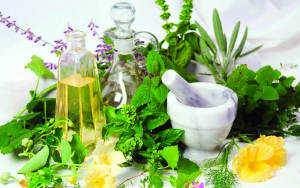 Tinh Dầu Hương Nhu Làm đẹp