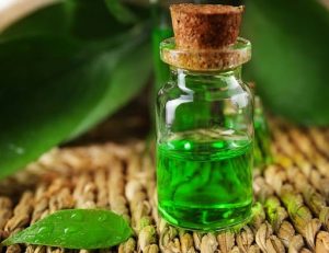 Tinh Dầu Trà Xanh Thiên Nhiên