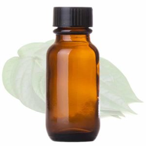 Tinh Dầu Trầu Không (Betel Leaf Essential Oil)