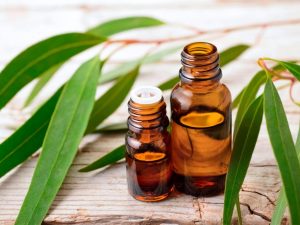 Tinh Dầu Khuynh Diệp (Eucalyptus Radiata Essential Oil)