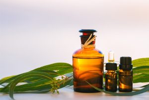 Tinh Dầu Khuynh Diệp (Eucalyptus Radiata Essential Oil)