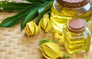 Tinh Dầu Ngọc Lan Tây (Ylang Essential Oil)