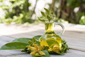 Tinh Dầu Ngọc Lan Tây (Ylang Essential Oil)