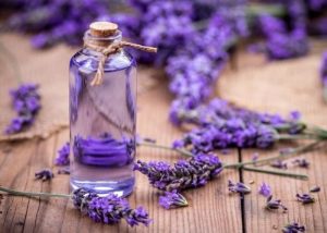 Tinh Dầu Oải Hương (Lavender Essential Oil)